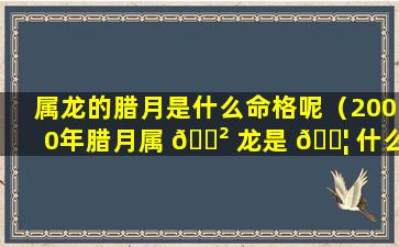 属龙的腊月是什么命格呢（2000年腊月属 🌲 龙是 🐦 什么命格）